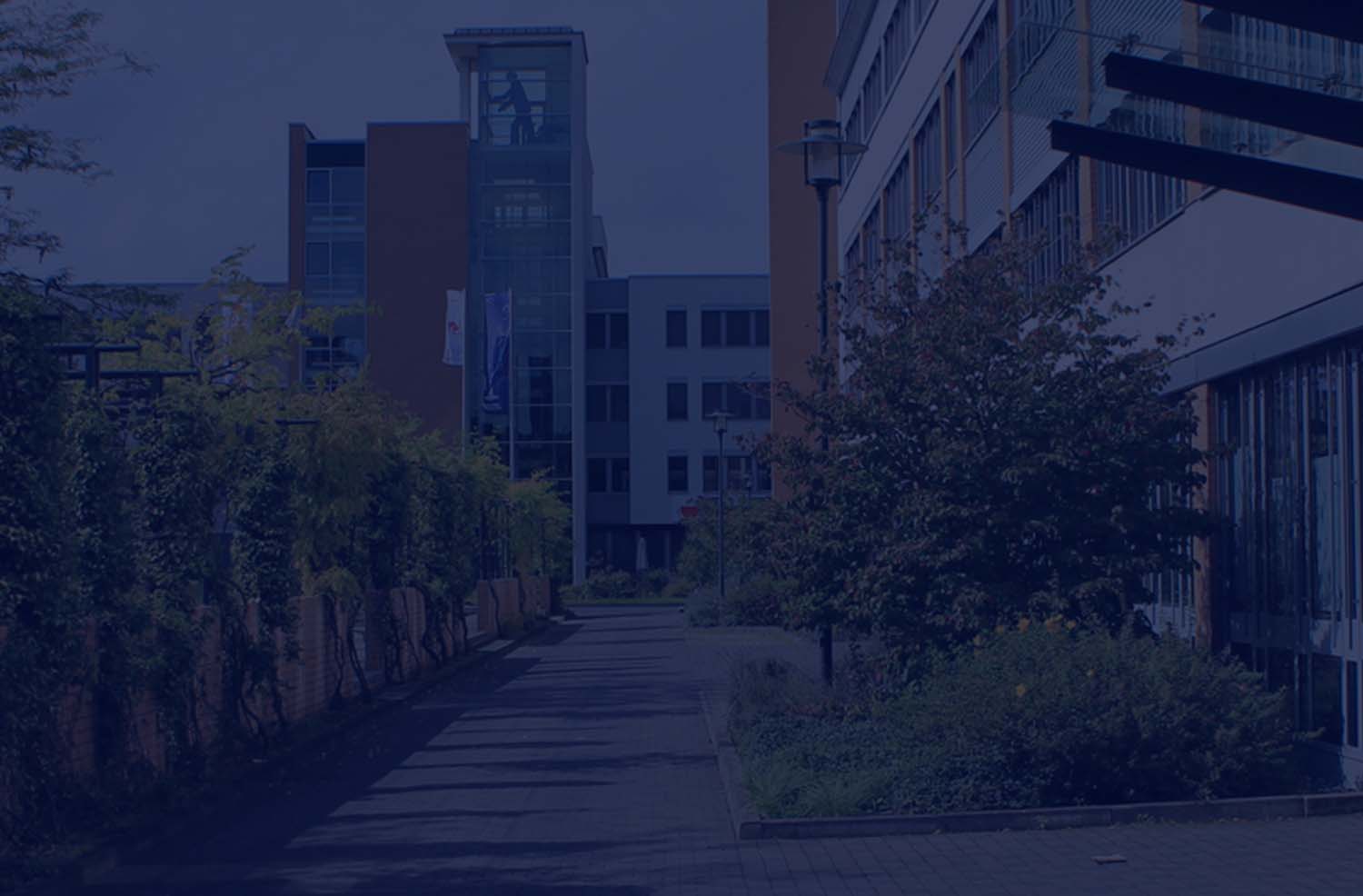 Business English For Reading & Writing